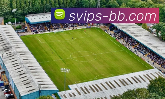 BB视讯官网平台生态图